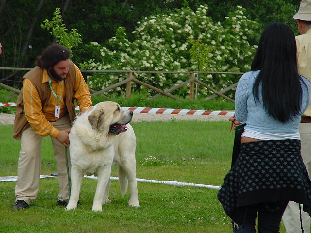 Immagine 020.jpg